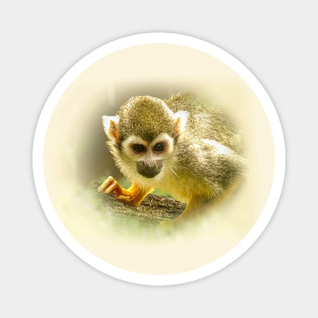 Squirrel monkey Magnet by Guardi